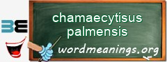 WordMeaning blackboard for chamaecytisus palmensis